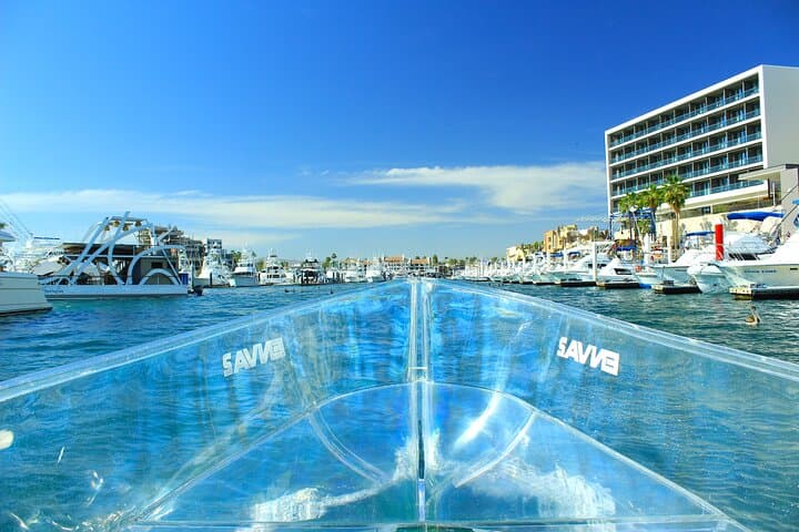 Clear Glass-Bottom Boat to Lands End and The Arch — Cabo San Lucas photo 6