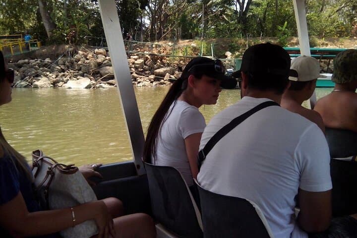 Tortuguero National Park Day Trip from San José — Rainforest Canals & Turtle Nesting