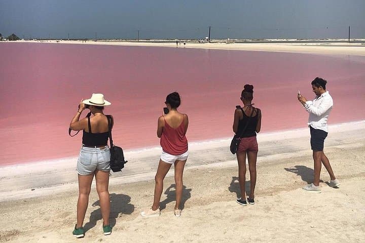 Las Coloradas Pink Lagoons & Río Lagartos Day Tour from Cancun photo 4