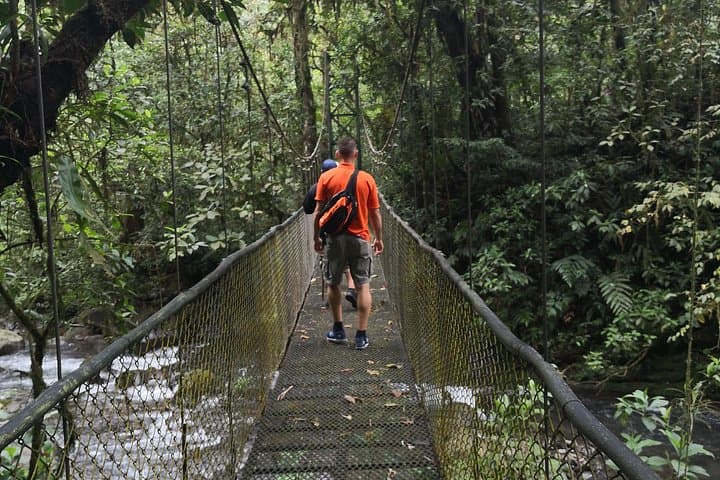 Half-Day Zipline Canopy Tour Near San José — San Ramón Cloud-Forest Adventure