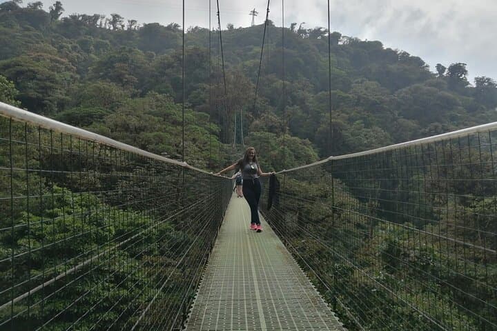 Full-Day Monteverde Cloud Forest: Canopy Zipline, Hummingbirds & Reptiles from San José photo 2