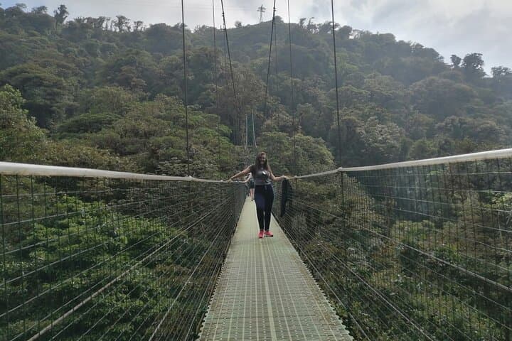 Full-Day Monteverde Cloud Forest: Canopy Zipline, Hummingbirds & Reptiles from San José photo 6