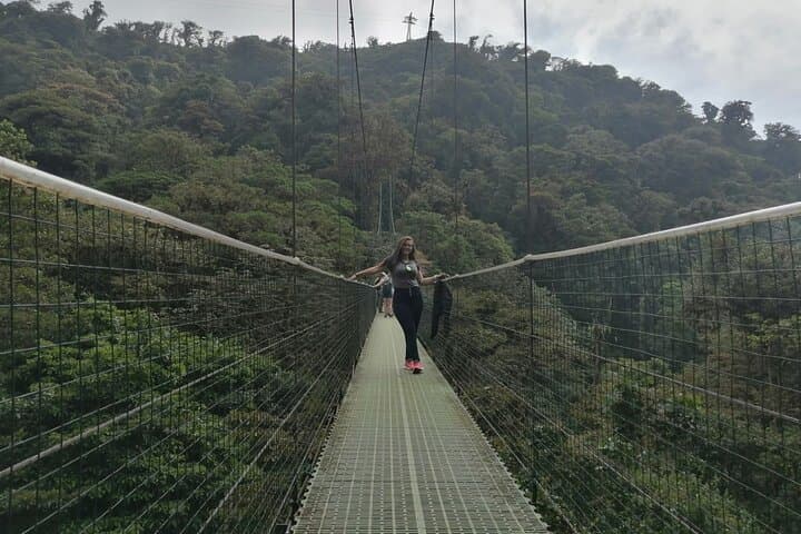 Full-Day Monteverde Cloud Forest: Canopy Zipline, Hummingbirds & Reptiles from San José photo 3