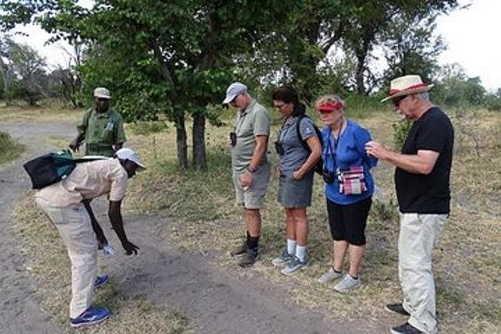 Border Crossing the Zambezi: Livingstone Day Trip from Victoria Falls photo 2