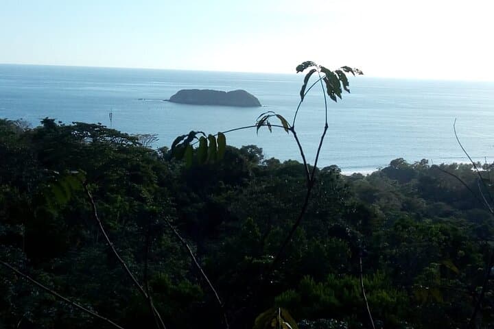 Full-Day Manuel Antonio Hike & Wildlife Watching from San José photo 5