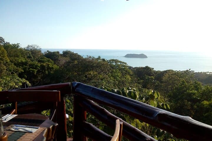 Full-Day Manuel Antonio Hike & Wildlife Watching from San José photo 3