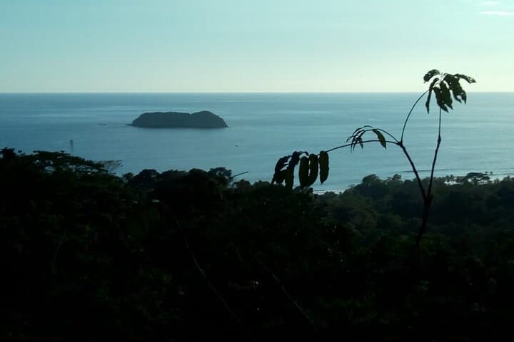 Full-Day Manuel Antonio Hike & Wildlife Watching from San José photo 4