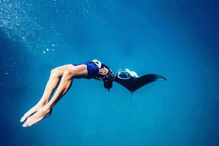 Snorkeling with Manta Rays from Maafushi: South Malé Atoll Encounter photo 3
