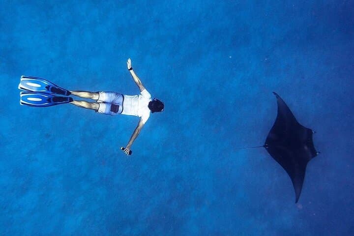 Snorkeling with Manta Rays from Maafushi: South Malé Atoll Encounter photo 2
