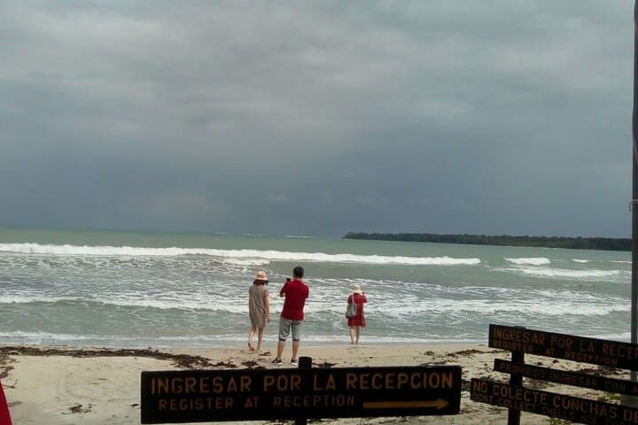 Cahuita National Park Half-Day Wildlife Hike — Sloths, Monkeys & Coral Reef photo 1