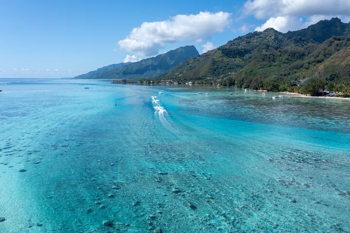 Moorea Half‑Day Snorkel: Swim with Turtles & Stingrays in a Pristine Lagoon photo 3