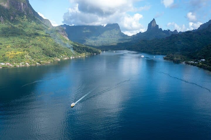 Moorea Half‑Day Snorkel: Swim with Turtles & Stingrays in a Pristine Lagoon photo 5