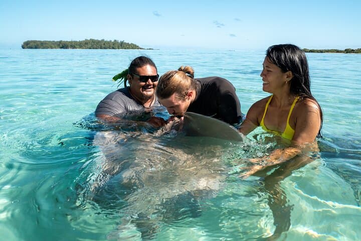 Moorea Half‑Day Snorkel: Swim with Turtles & Stingrays in a Pristine Lagoon photo 2