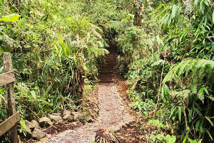 Rio Celeste Waterfall Hike — Tenorio Volcano Rainforest Day Trip from La Fortuna photo 5