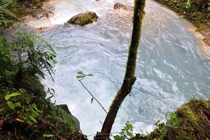 Rio Celeste Waterfall Hike — Tenorio Volcano Rainforest Day Trip from La Fortuna photo 6