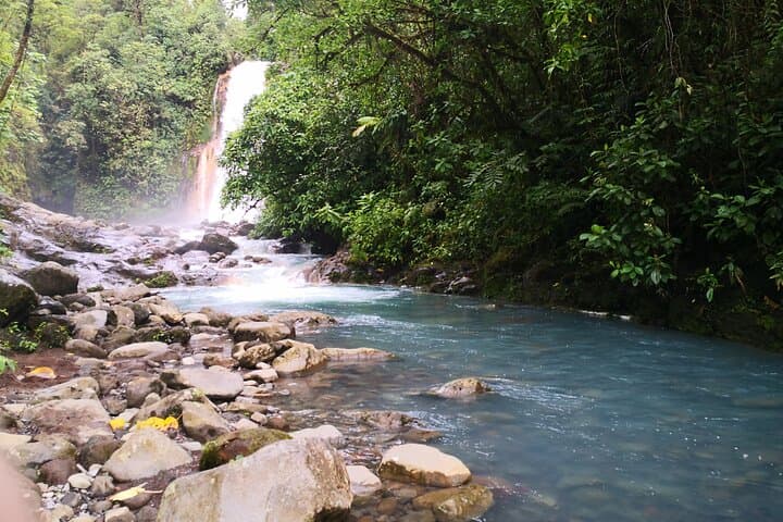 Rio Celeste Waterfall Hike — Tenorio Volcano Rainforest Day Trip from La Fortuna photo 4