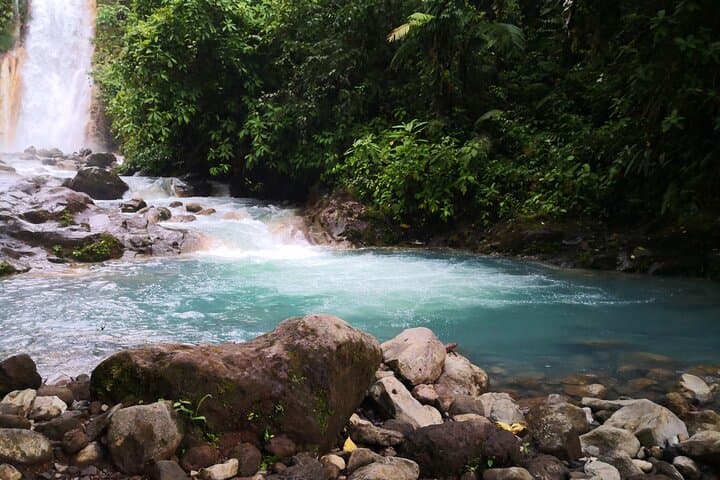Rio Celeste Waterfall Hike — Tenorio Volcano Rainforest Day Trip from La Fortuna