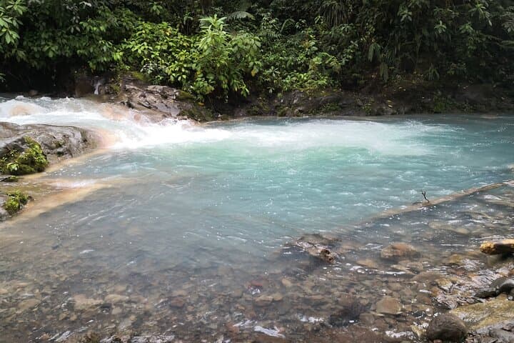 Rio Celeste Waterfall Hike — Tenorio Volcano Rainforest Day Trip from La Fortuna photo 2