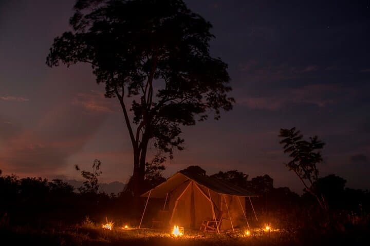 Fly-Camping Under the Milky Way: Private Safari Camping in Buttala