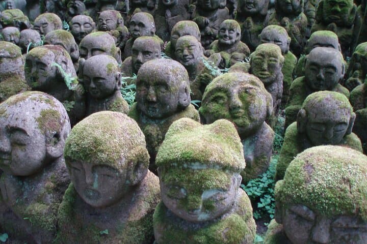 Private Arashiyama Walking Tour: Hidden Bamboo Grove & Local Gems photo 6
