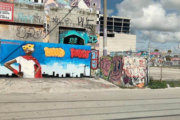 Explore Wynwood Street Art with Local Artist Roberto Manoly photo 6