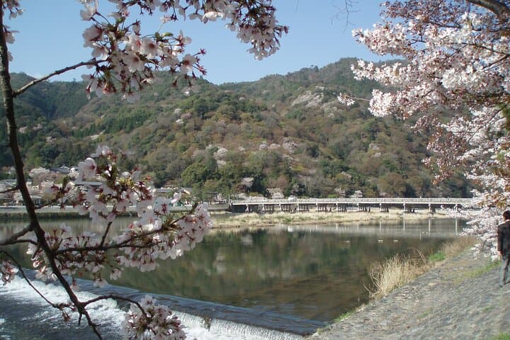 Private Arashiyama Walking Tour: Hidden Bamboo Grove & Local Gems photo 4