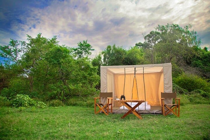 Fly-Camping Under the Milky Way: Private Safari Camping in Buttala photo 2