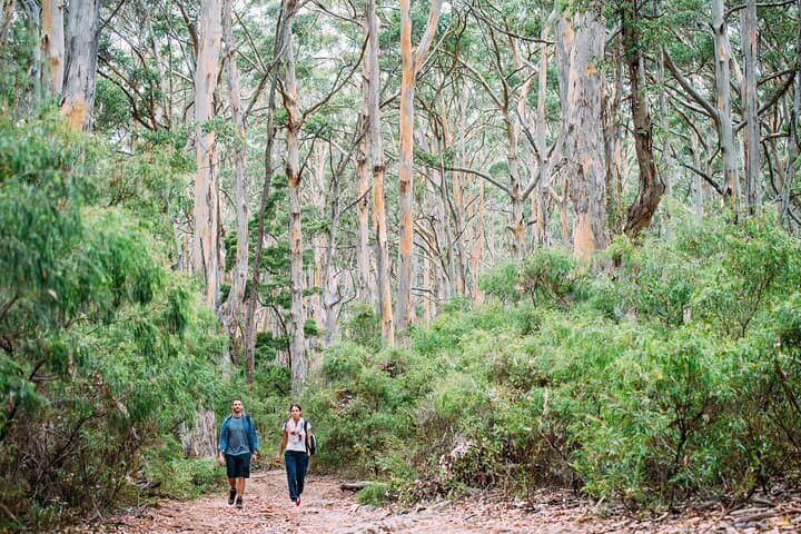 Margaret River & Busselton 2-Day Tour from Perth: Caves, Cape Leeuwin & Wineries