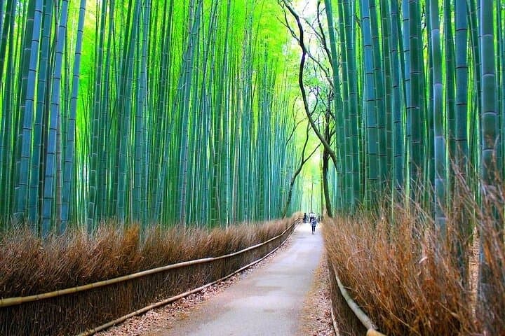 Private Arashiyama Walking Tour: Hidden Bamboo Grove & Local Gems photo 5