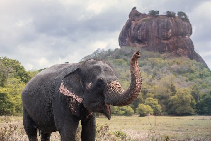 4-Day Cultural Tour from Colombo: Kandy, Sigiriya, Trincomalee & Anuradhapura