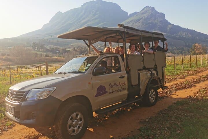 Stellenbosch Wine Safari: Half-Day Tasting Tour in Stellenbosch North