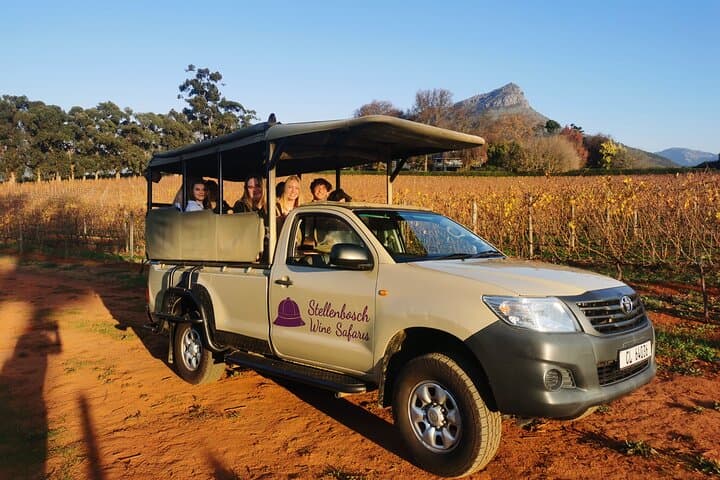 Stellenbosch Wine Safari: Half-Day Tasting Tour in Stellenbosch North photo 2