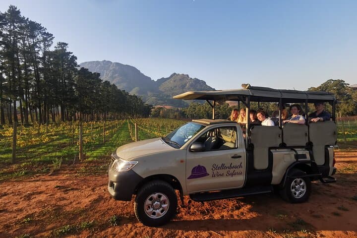 Stellenbosch Wine Safari: Half-Day Tasting Tour in Stellenbosch North photo 3
