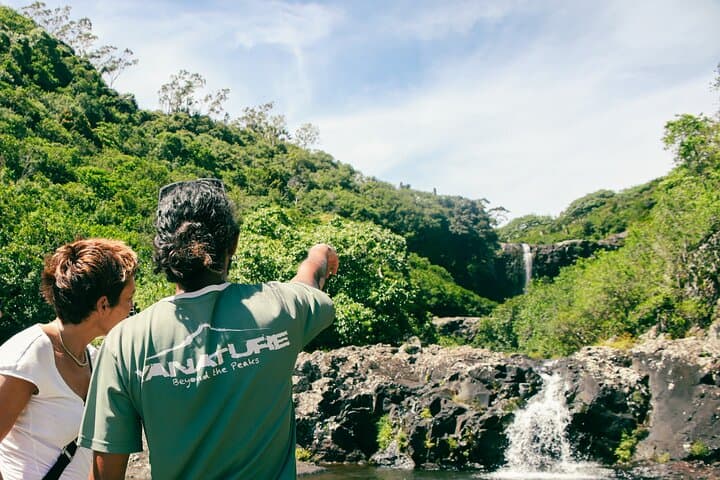 Hiking Tamarind Falls (Sept Cascades) — Half-Day Guided Hike in Mauritius photo 4