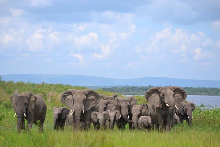 One-Day Akagera Big Five Safari from Kigali — Private Game Drive with Lunch photo 3