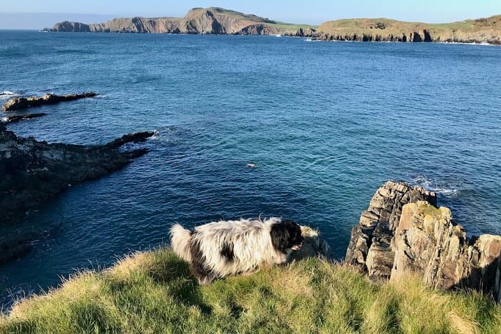 Placenames Walking Tour in West Cork with Artisan Picnic on the Wild Atlantic Way photo 2