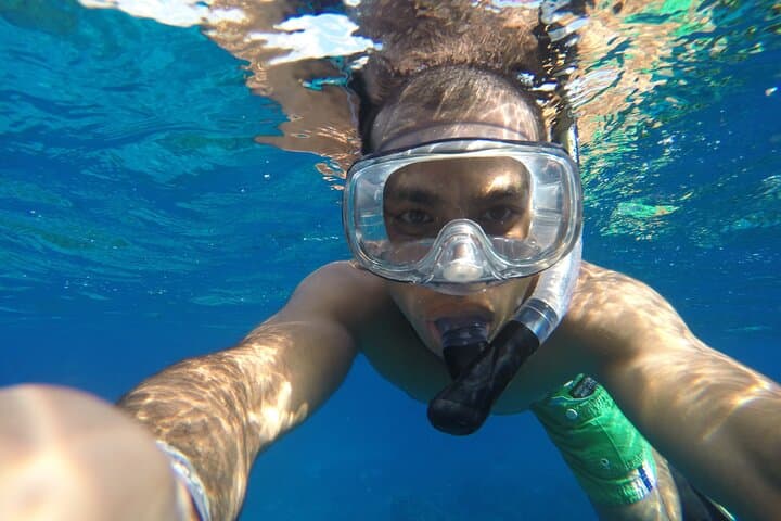 Private VIP Cenotes Half-Day Tour from Playa del Carmen photo 4