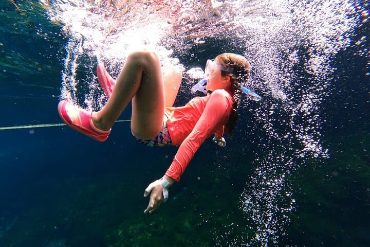 Private VIP Cenotes Half-Day Tour from Playa del Carmen photo 5