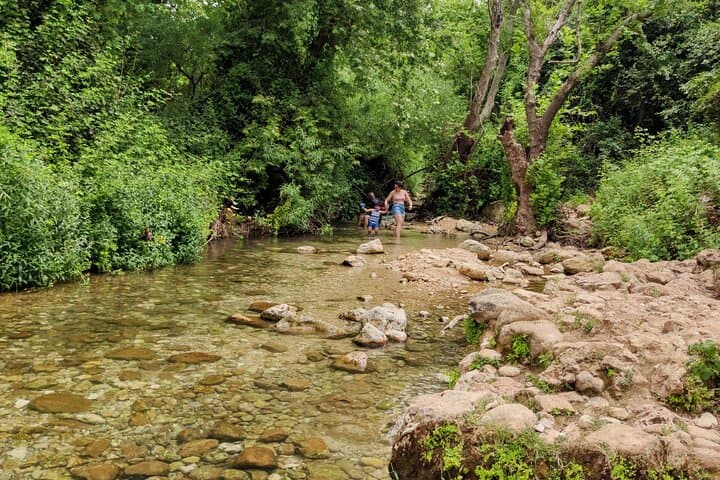 Full-Day Northern Shores Private Tour: Rosh HaNikra, Keshet Cave & Acre photo 2