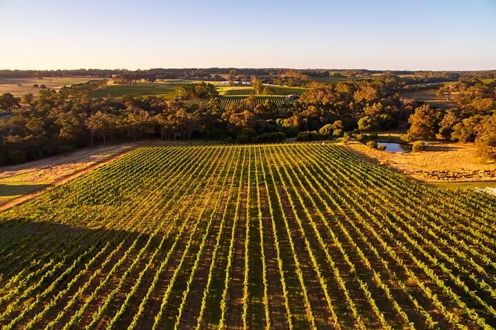 Margaret River & Busselton 2-Day Tour from Perth: Caves, Cape Leeuwin & Wineries photo 4