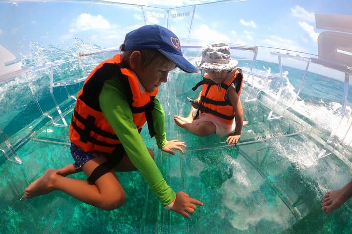 Clearboat Glass-Bottom Tour: Explore Cancun's Mangroves & El Meco Reef photo 3