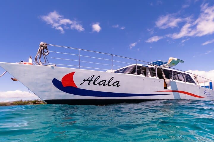 Explore Kohala Coast: Snorkeling Adventure from Kawaihae Harbor photo 2
