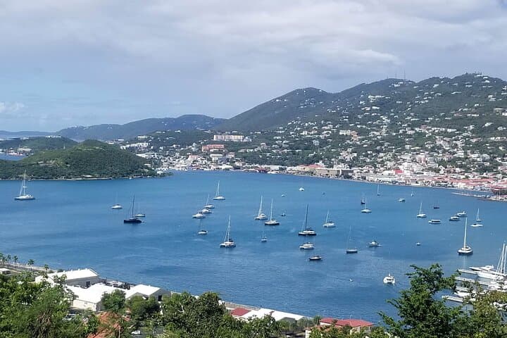 St. Thomas 4-Hour Private Jeep Tour — Skyline Drives, Magen's Bay & Local Flavors photo 6