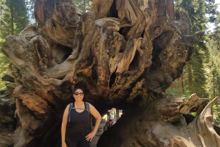 Kings Canyon Day Tour: Grant Grove Sequoias & Canyon Highlights photo 3