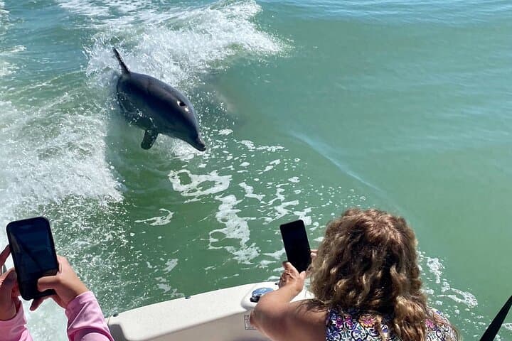 Private Shelling and Dolphin Excursion in the 10,000 Islands from Goodland