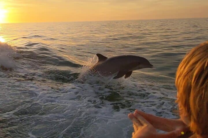 Sunset Dolphin Cruise to Shell Island — 2‑Hour Private Tour in Panama City Beach photo 2