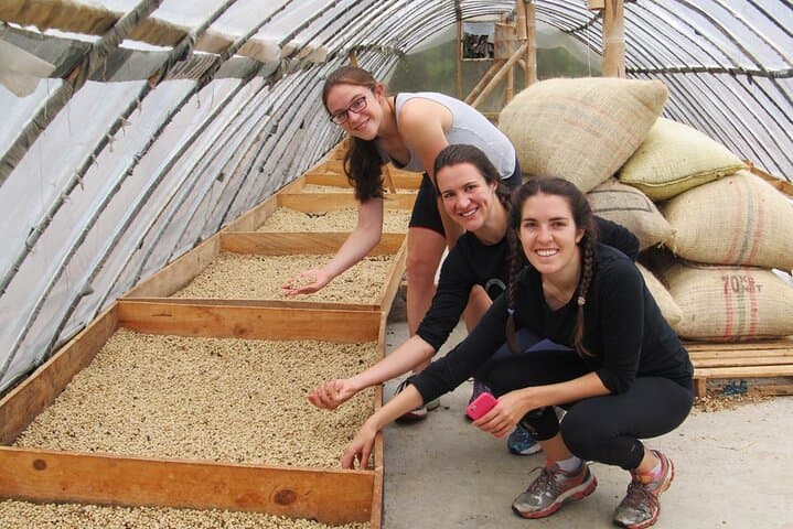 4-Day Cocora Valley Adventure: Biking, Hiking, Coffee & Waterfalls photo 5
