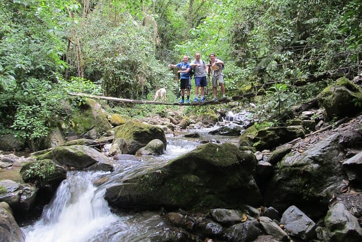 4-Day Cocora Valley Adventure: Biking, Hiking, Coffee & Waterfalls photo 4