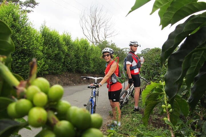 4-Day Cocora Valley Adventure: Biking, Hiking, Coffee & Waterfalls