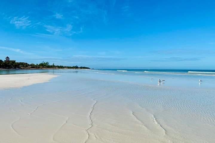 Day Trip to Isla Holbox & Punta Mosquito from Cancún — Swim, Hammocks & Yalahau Cenote photo 2